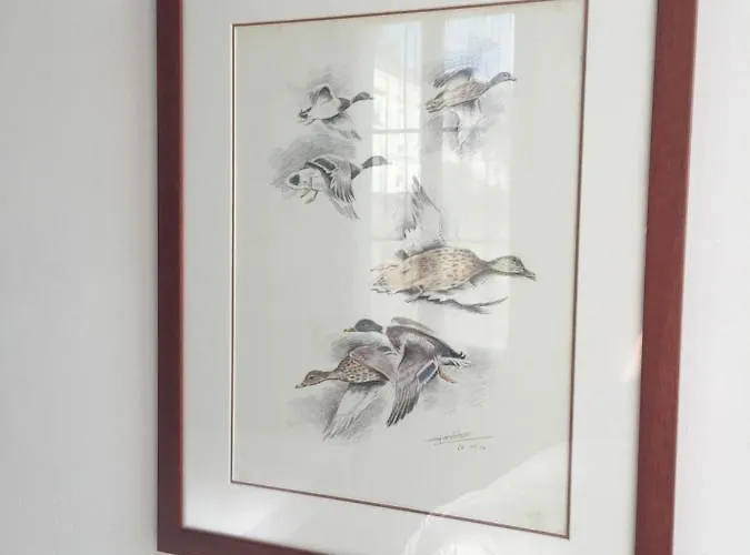 Couette-café Maison Prémartine